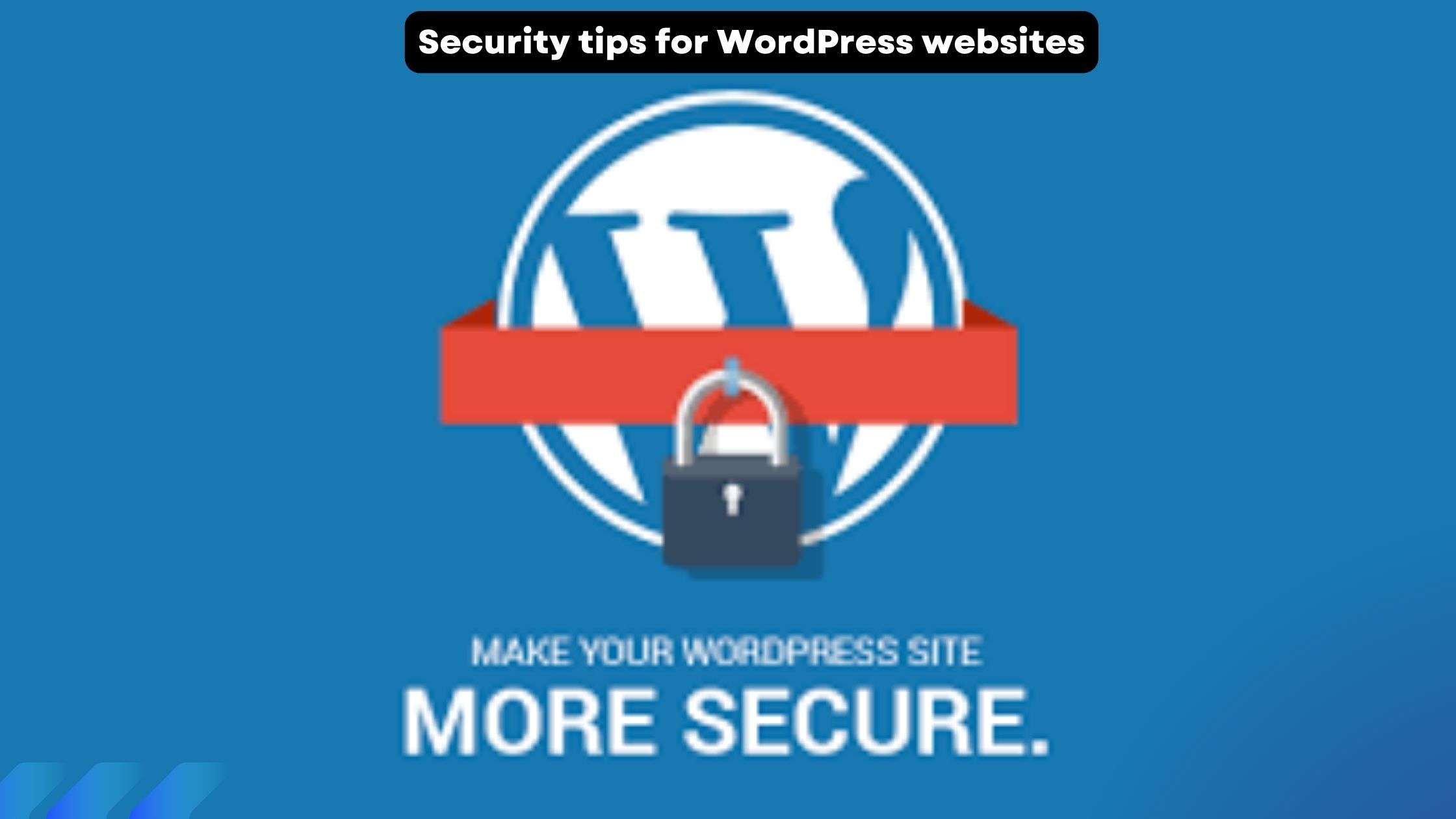 Security tips for WordPress websites-Webzin